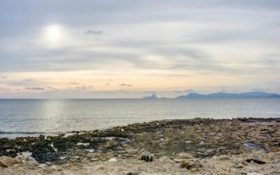 Morning Massage Ibiza: The Perfect Start to Your Beach Day in Sant Miquel